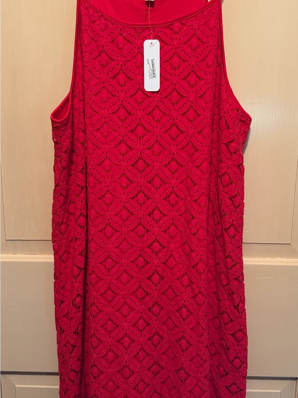 C Red Lace Mini Dress with Adjustable Straps